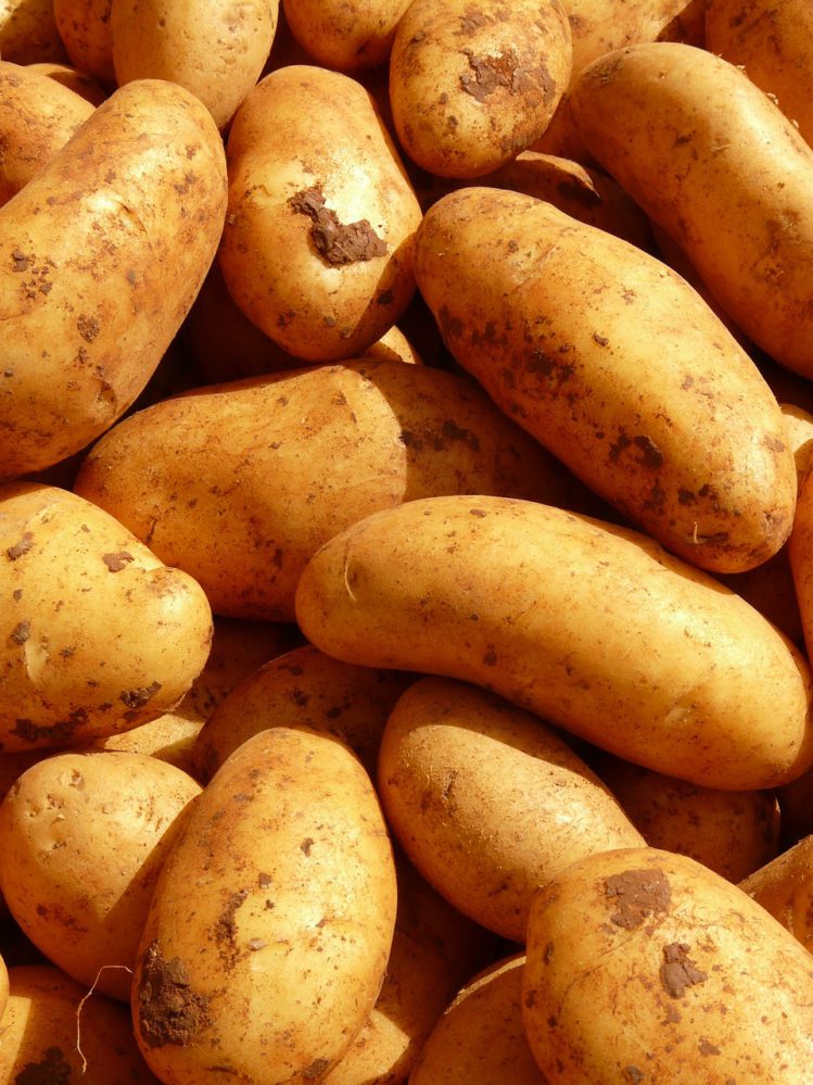 Werbetexter Berlin textet Image Text für Food Produzenten